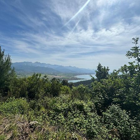 La Terrazza Di Ameglia Alta Daire Dış mekan fotoğraf