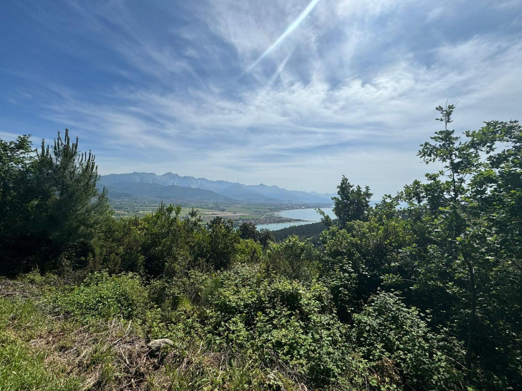 La Terrazza Di Ameglia Alta Daire Dış mekan fotoğraf