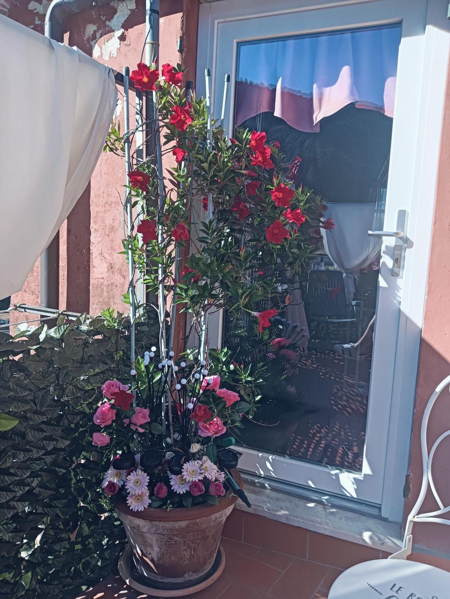 La Terrazza Di Ameglia Alta Daire Dış mekan fotoğraf